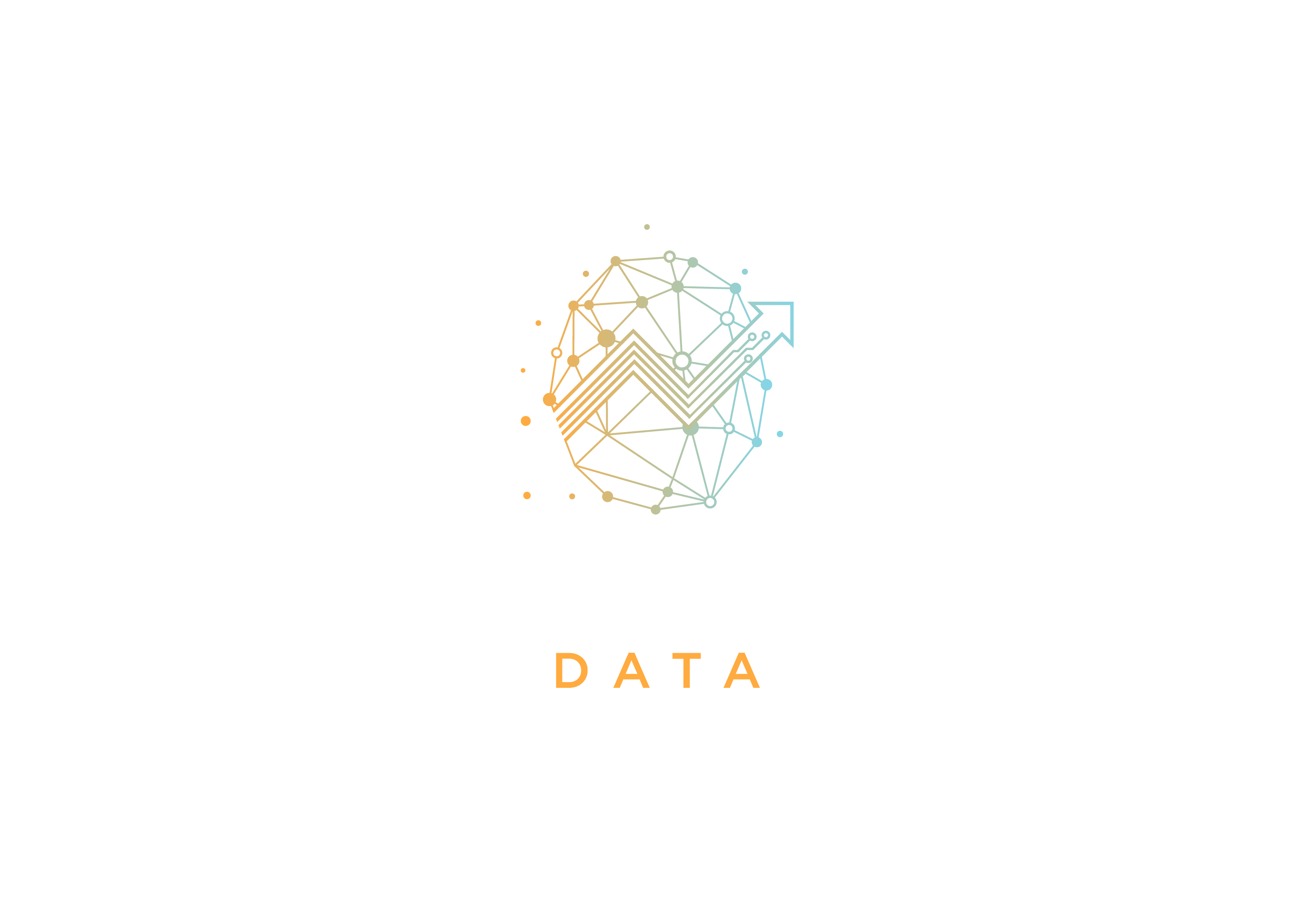 Millenium Data Logo